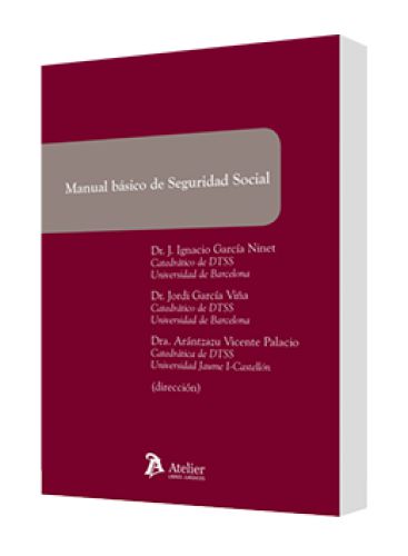 MANUAL BÁSICO DE SEGURIDAD SOCIAL..